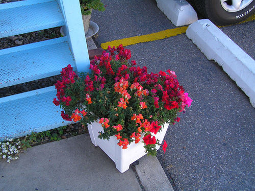 Hiway House Motel Albuquerque Esterno foto